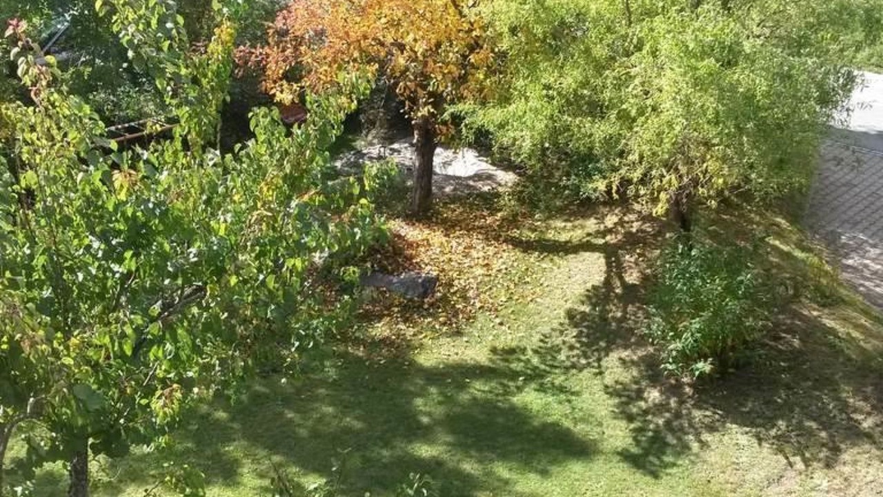 Photo of Outdoor in Fiesch