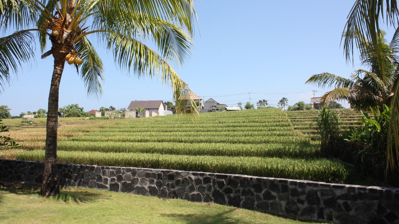 Photo of Others in Umalas