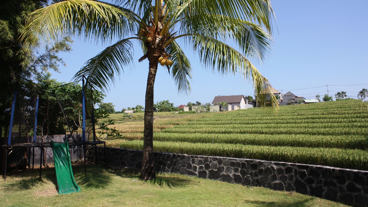 Photo of Others in Umalas