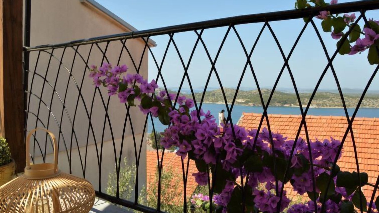 Photo of Others in Sibenik