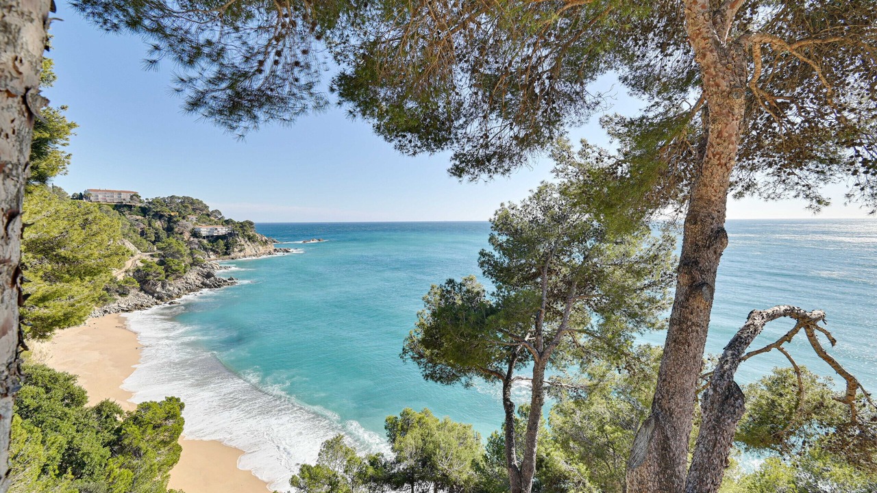 Photo of Others in Tossa de Mar