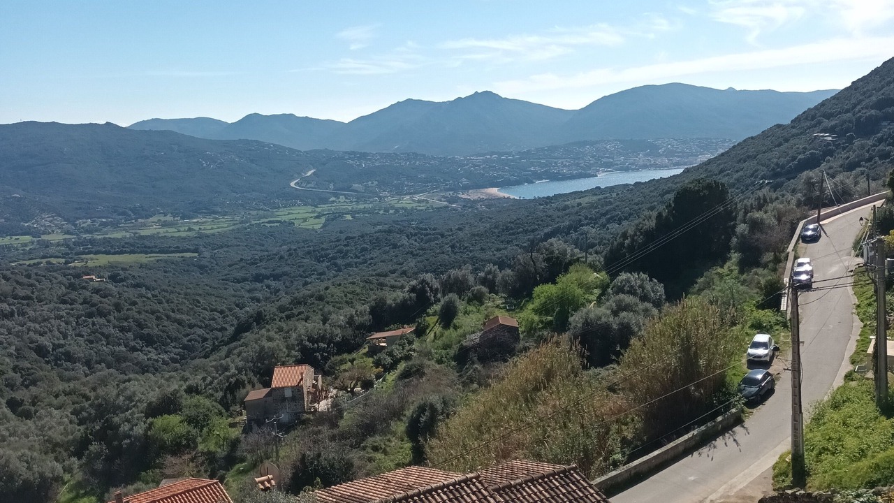 Photo of Others in Olmeto