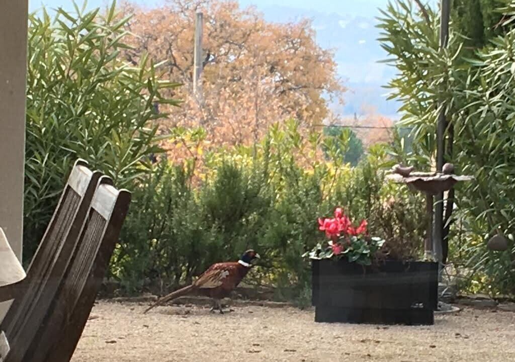Photo of Outdoor in Saint-Gervais