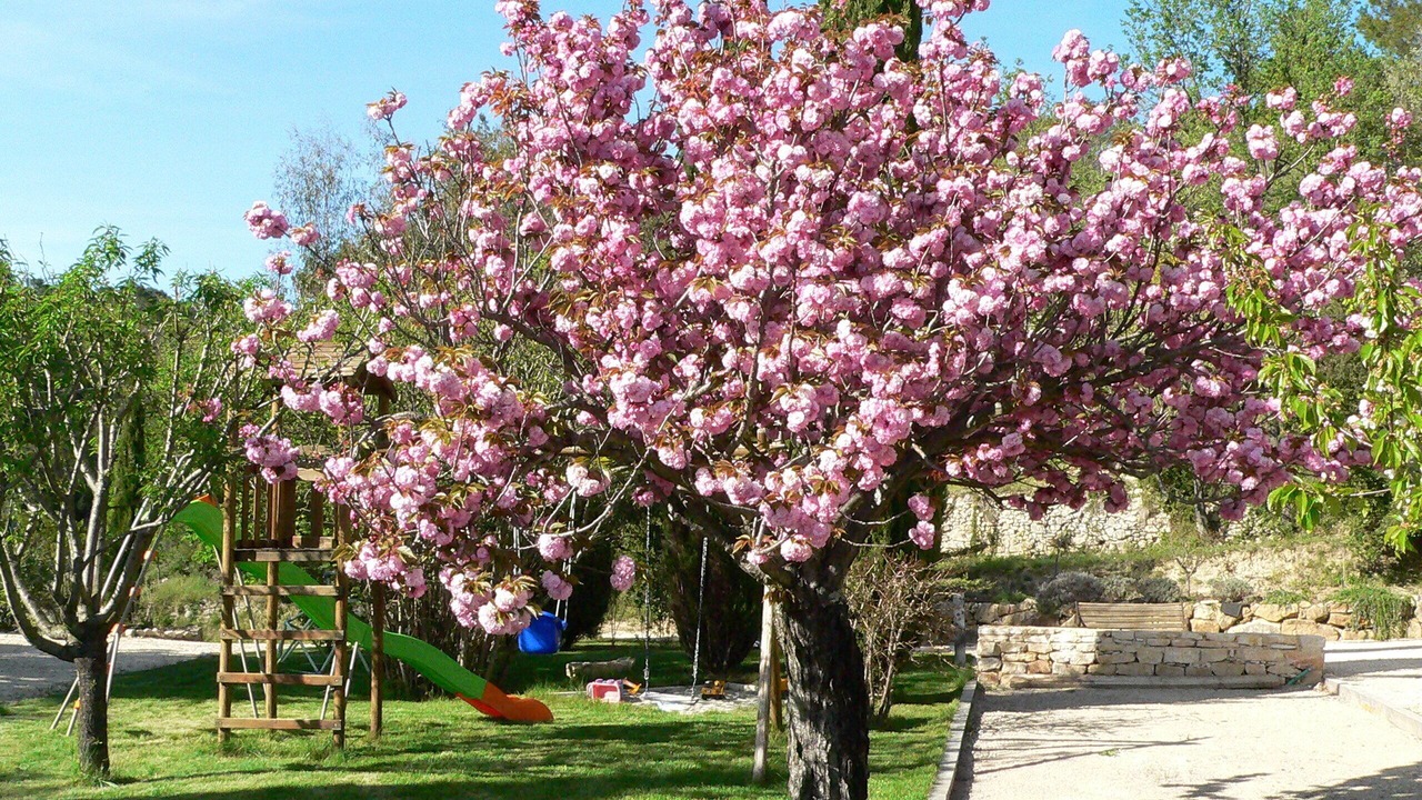 Photo of Others in Saint-Gervais