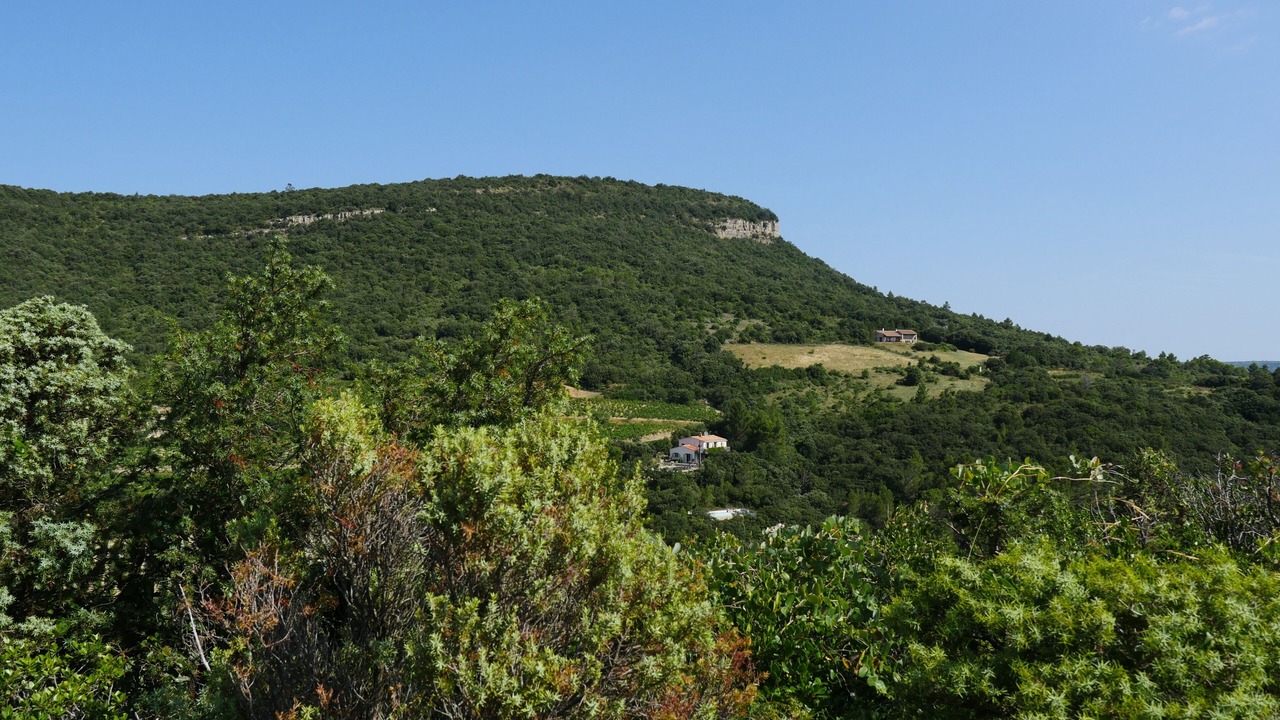 Photo of Others in Mayronnes