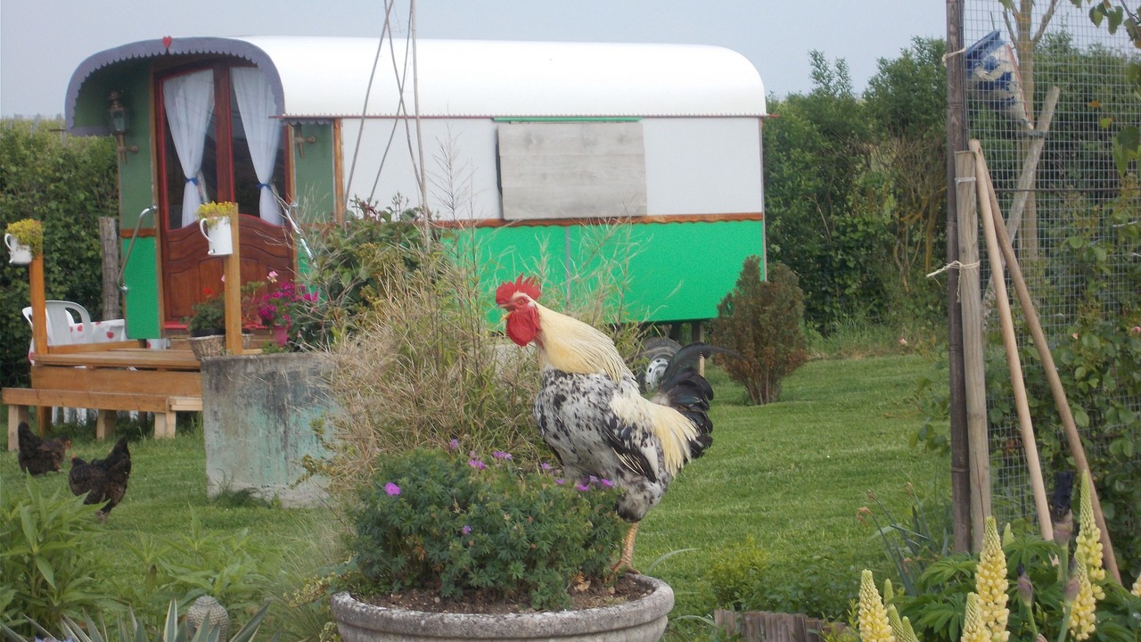 Photo of Bedroom in Ange