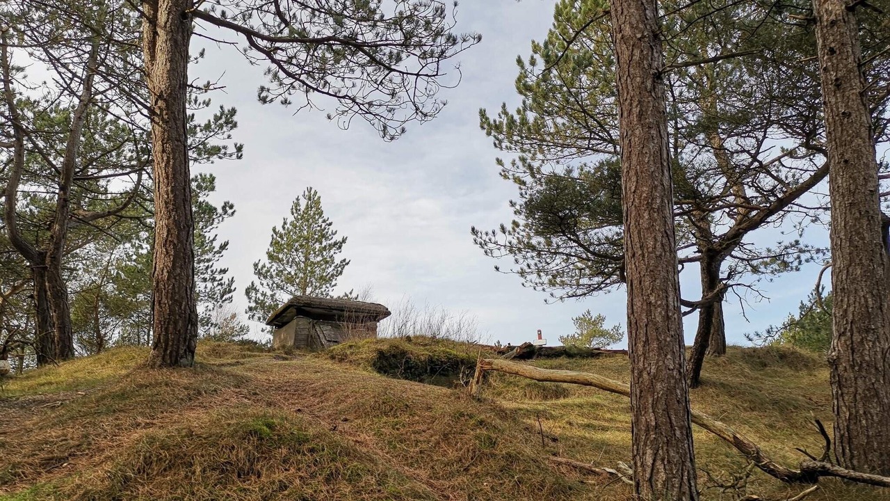 Photo of Outdoor in Ho