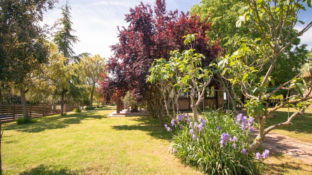 Photo of Outdoor in Riudarenes