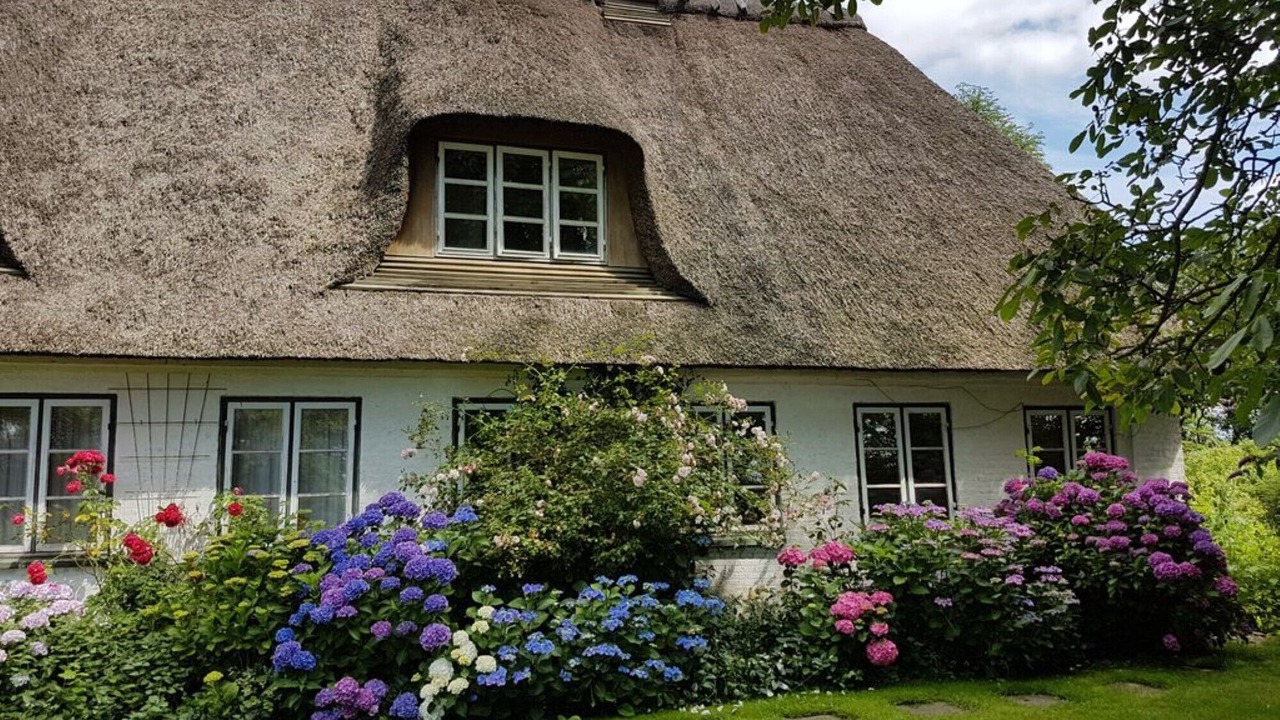 Photo of Outdoor in Kegnæshøj