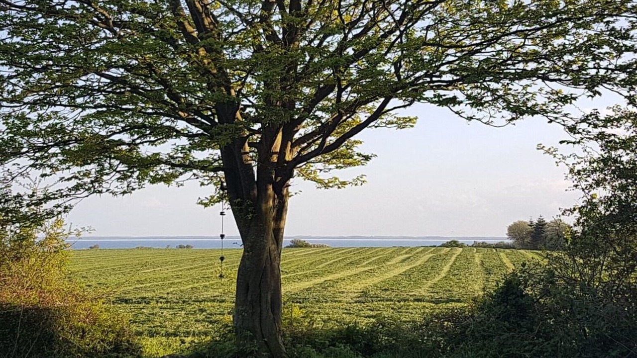 Photo of Outdoor in Kegnæshøj