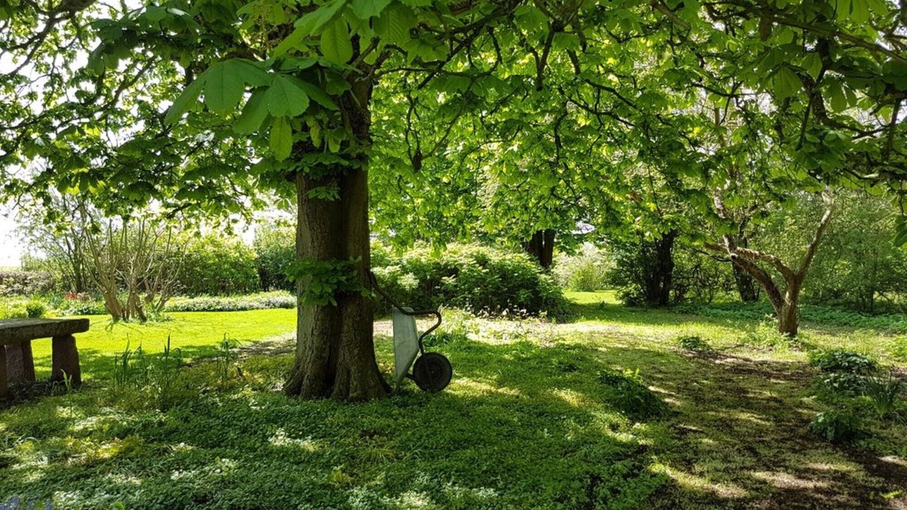 Photo of Outdoor in Kegnæshøj