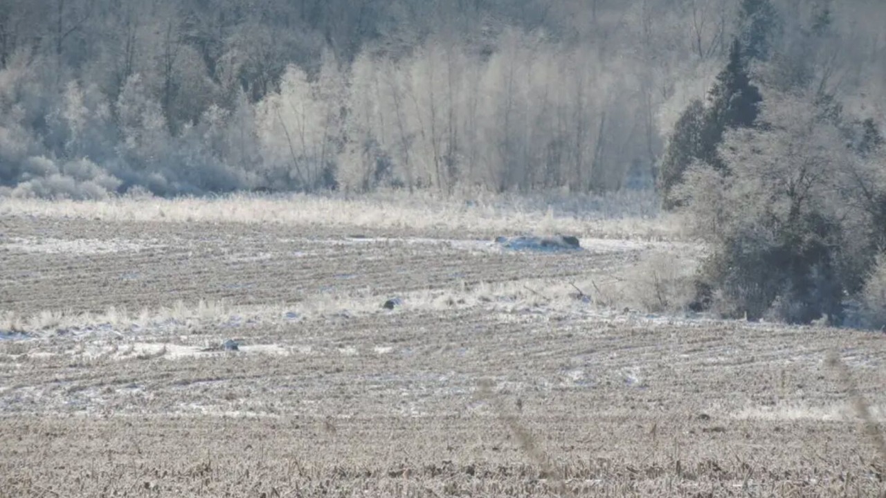Photo of Others in Bromont