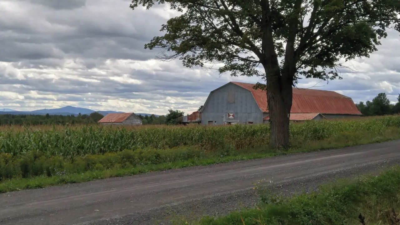 Photo of Others in Bromont