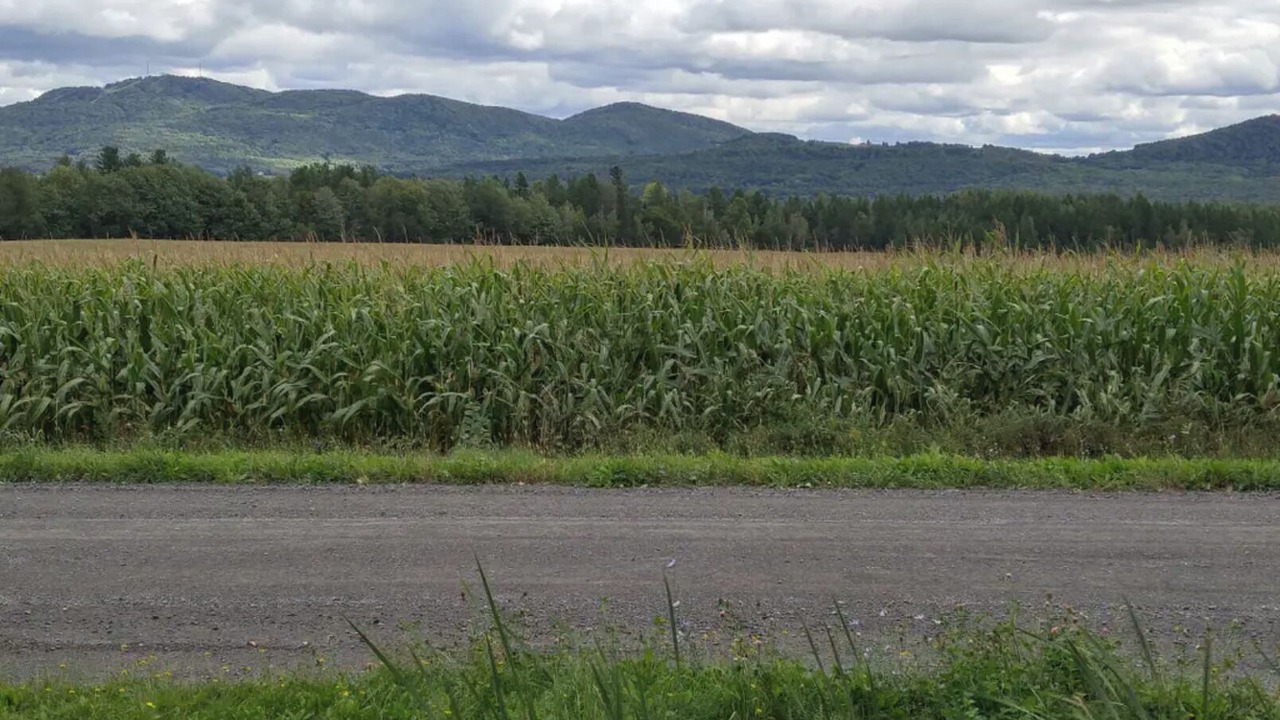 Photo of Others in Bromont