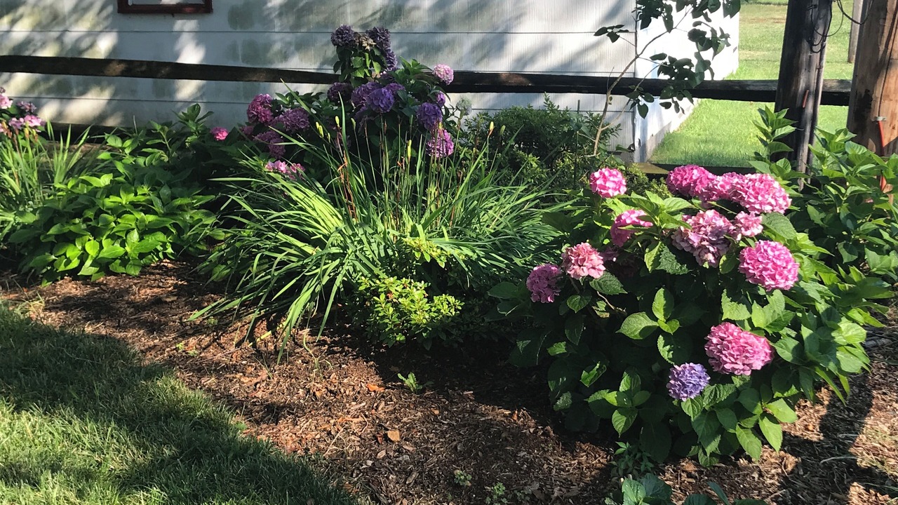 Photo of Outdoor in Valley Lee