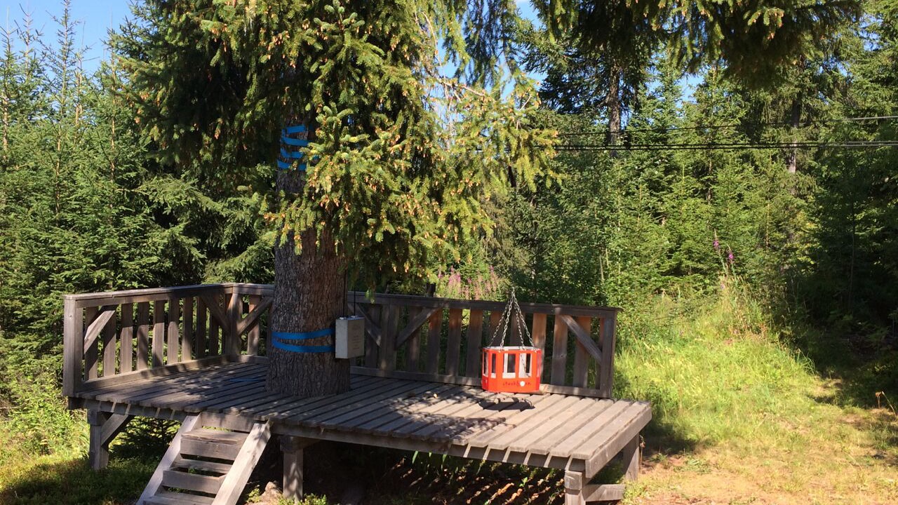 Photo of Outdoor in Jaun