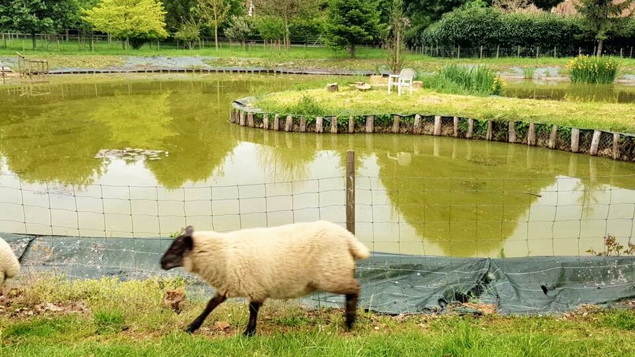 Photo of Others in Gace