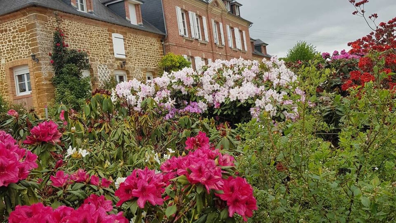 Photo of Others in Gace