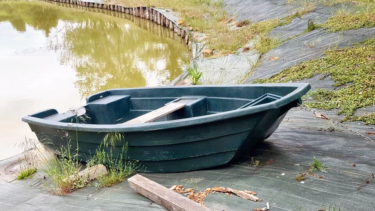 Photo of Others in Gace