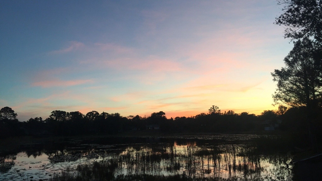 Photo of Others in Plantation Estates