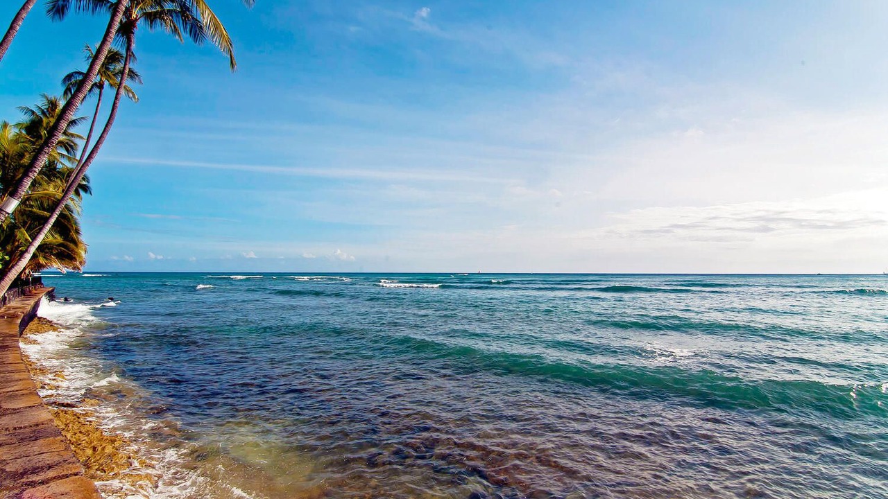 Photo of Others in Diamond Head - Kapahulu - St. Louis