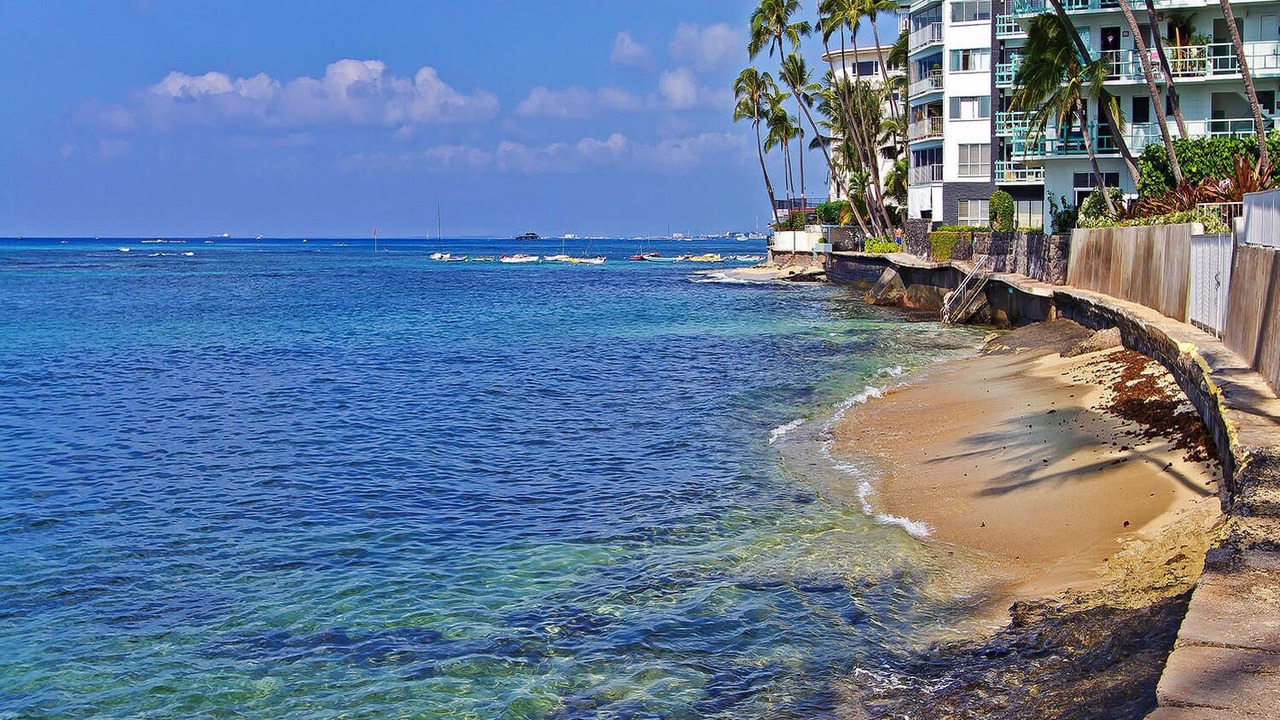 Photo of Others in Diamond Head - Kapahulu - St. Louis