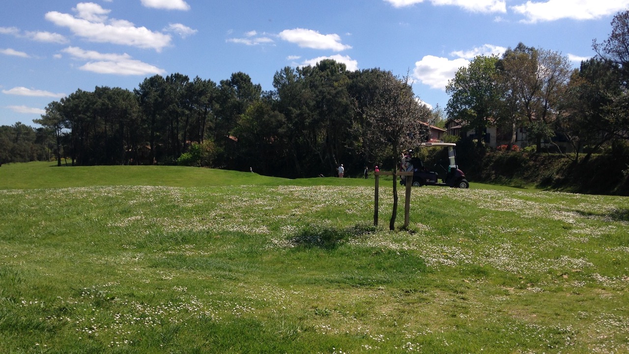 Photo of Others in Moliets-et-Maa