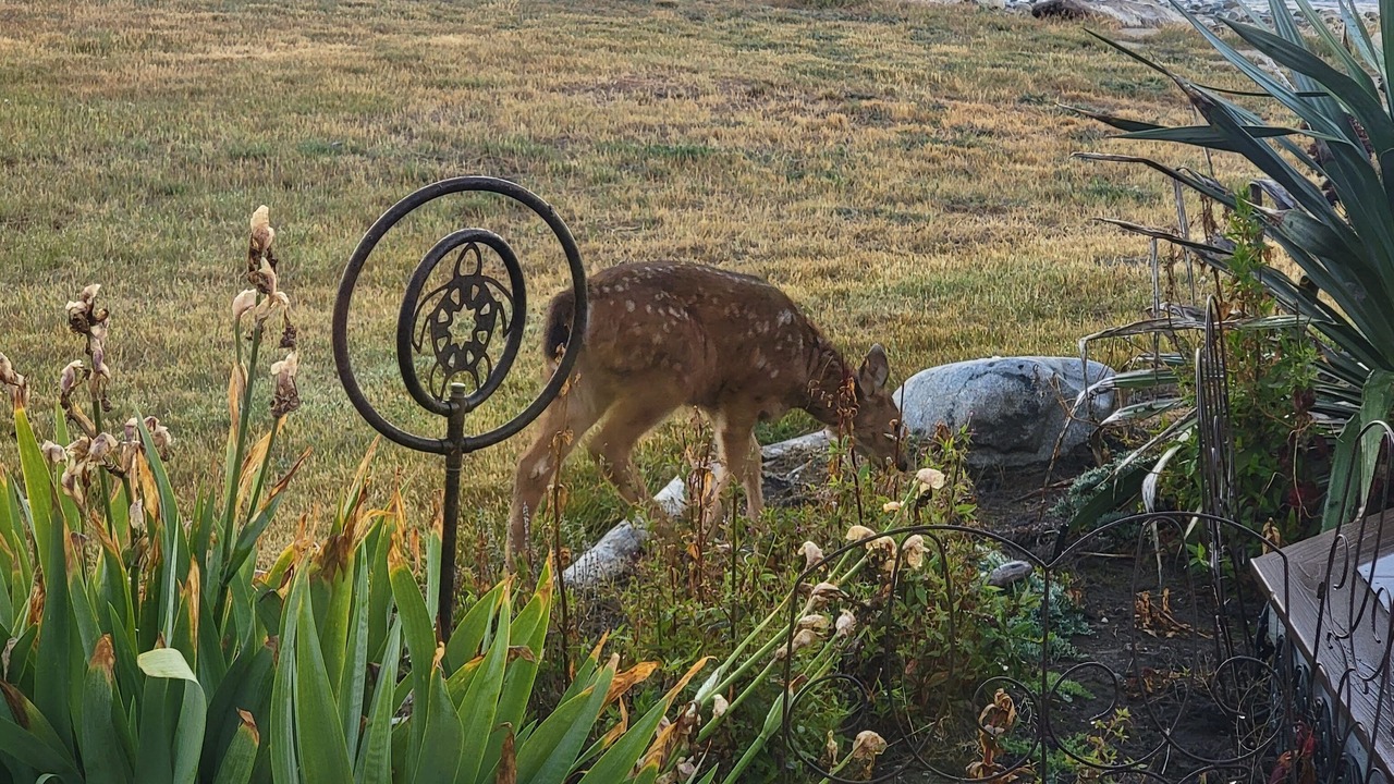 Photo of Outdoor in Oak Harbor