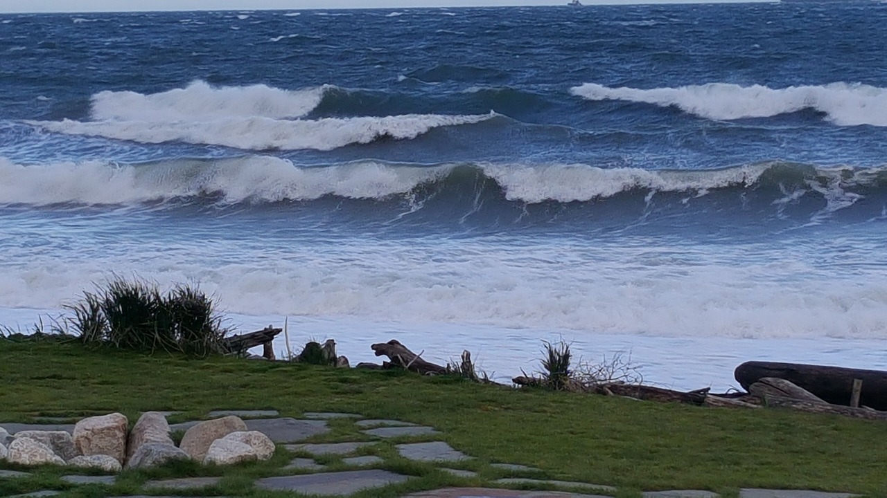 Photo of Others in Oak Harbor