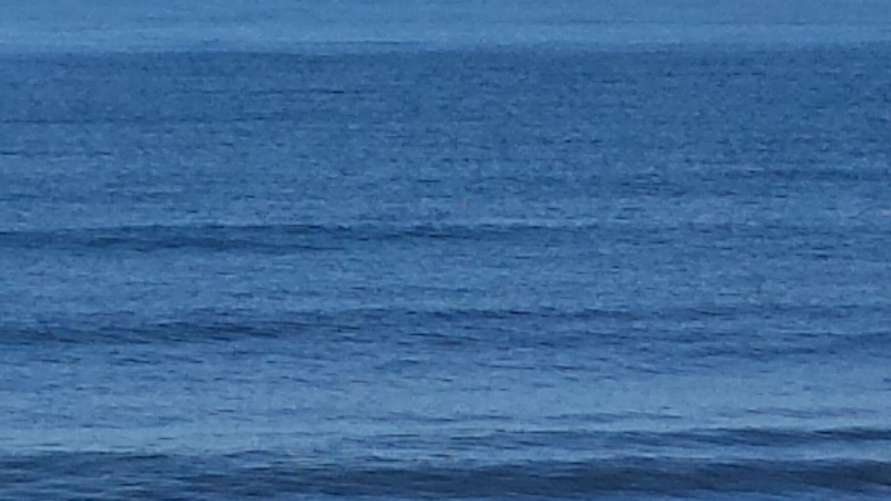 Photo of Others in Oak Harbor