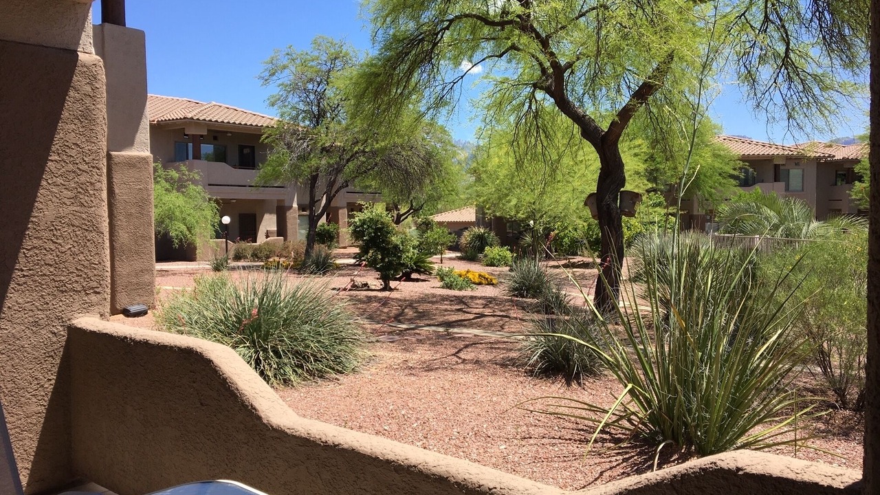 Photo of Outdoor in Rancho Vistoso