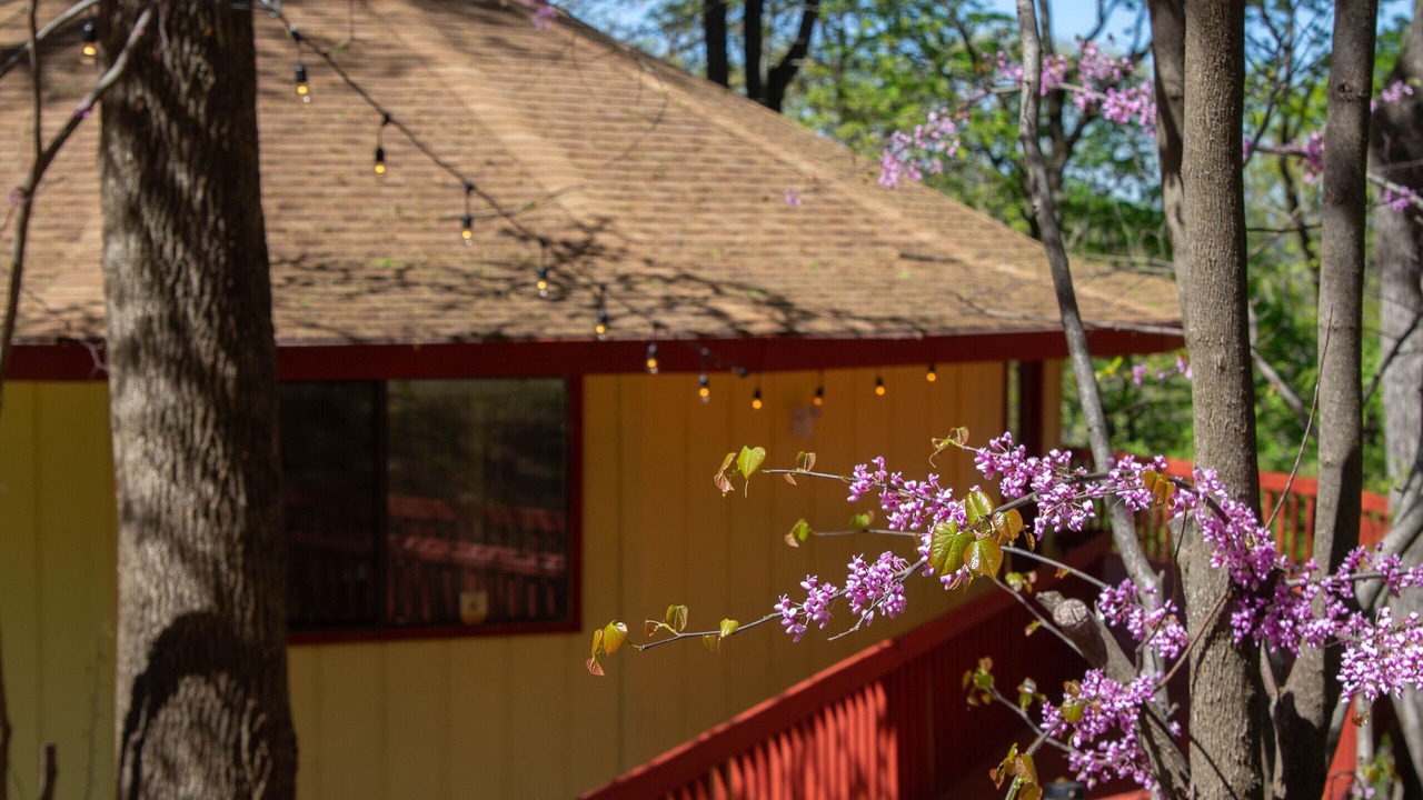 Photo of Outdoor in Eureka Springs