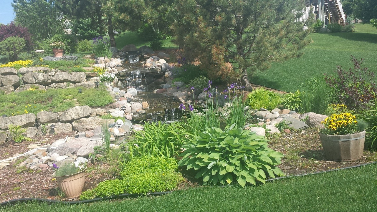 Photo of Others in Lakeville
