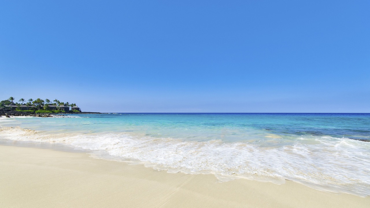 Photo of Others in Kahaluu Bay
