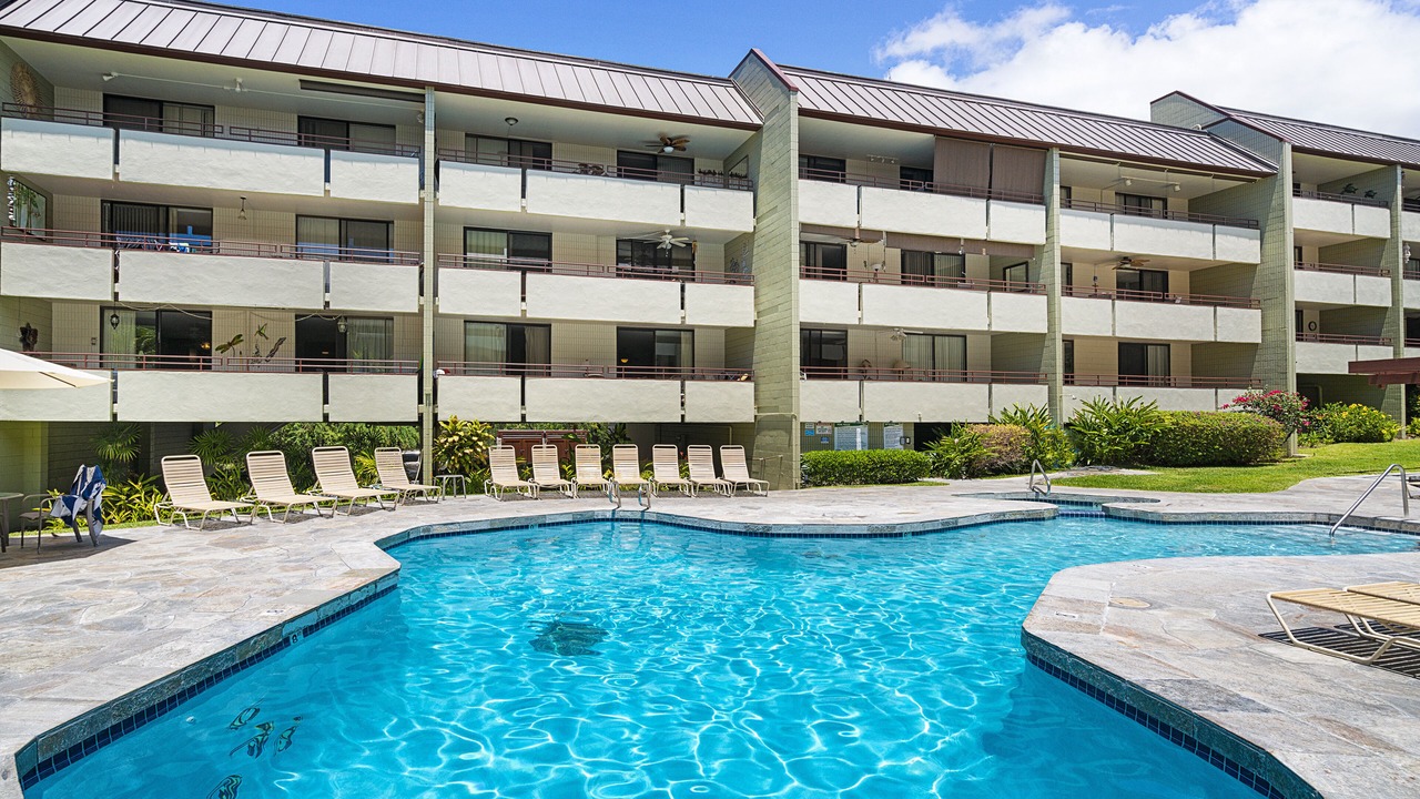 Photo of Others in Kahaluu Bay