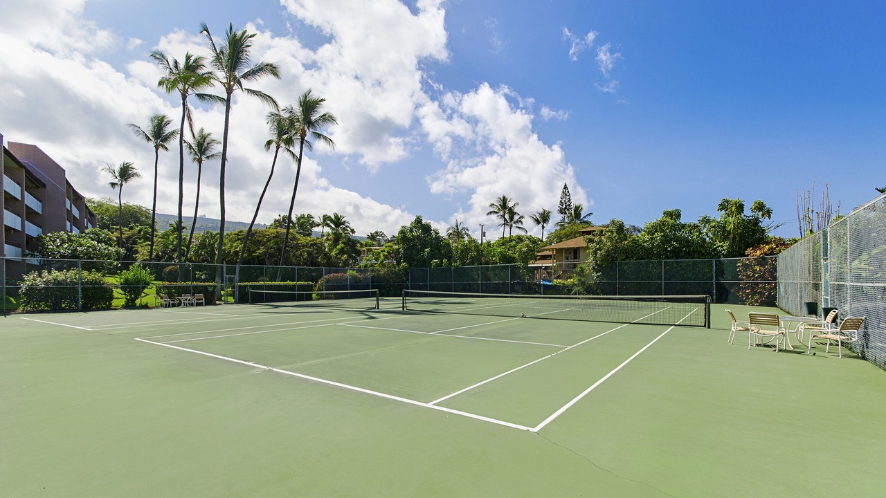 Photo of Others in Kahaluu Bay