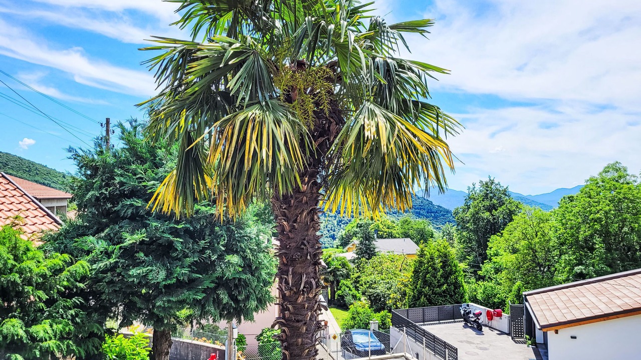 Photo of Others in Alto Malcantone