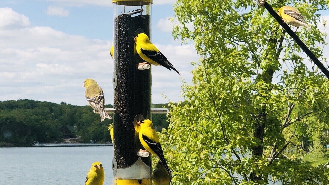 Photo of Others in Innsbrook