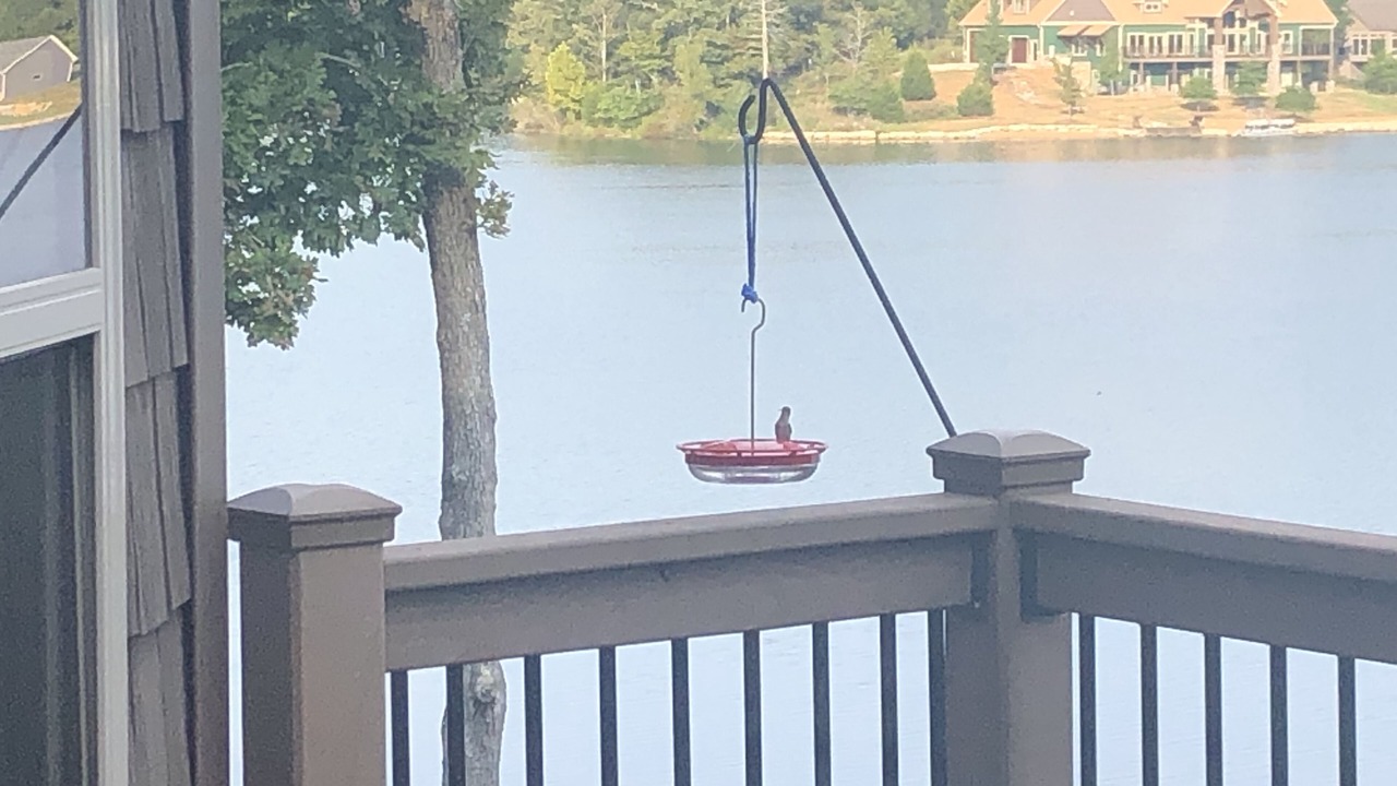 Photo of Others in Innsbrook