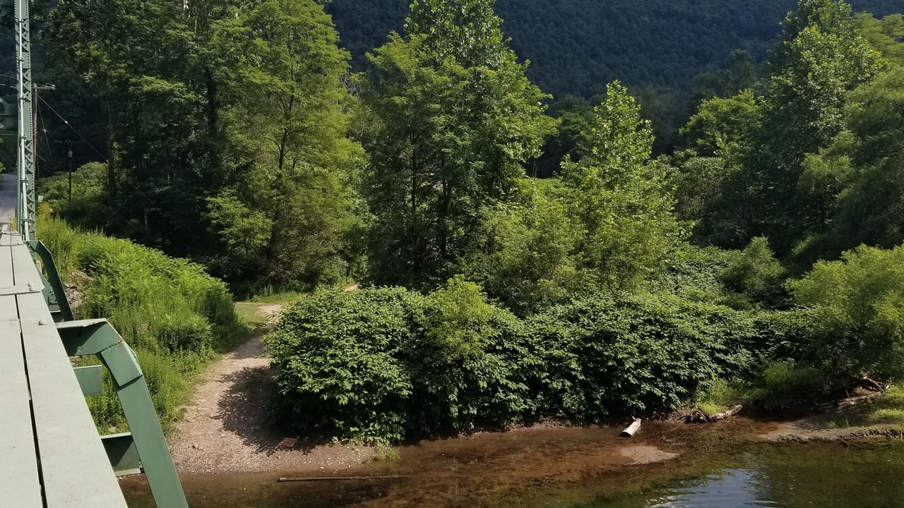 Photo of Others in Shinhopple