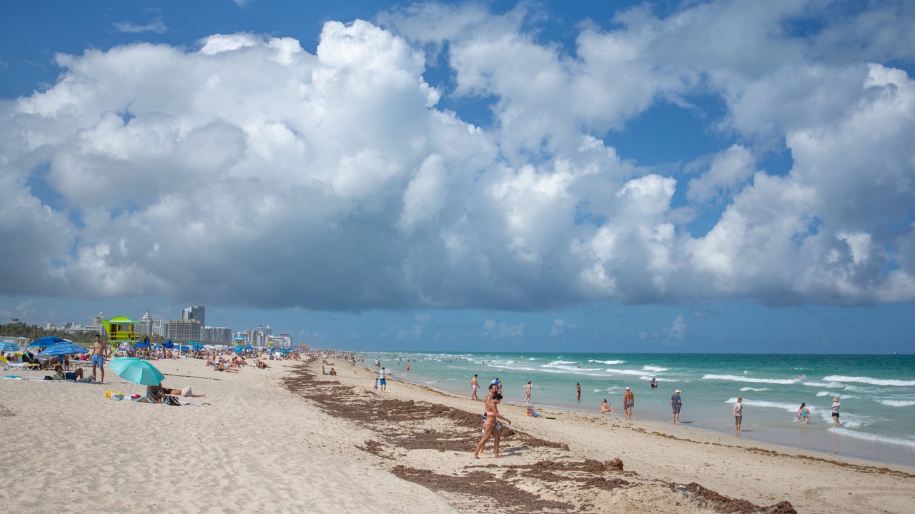 Photo of Others in South of Fifth