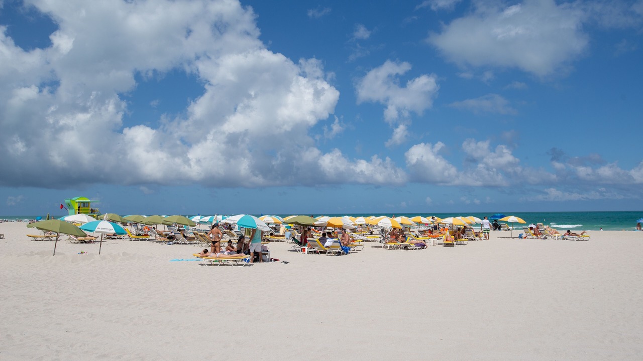 Photo of Others in South of Fifth