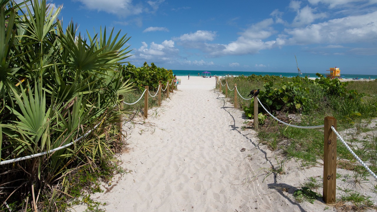 Photo of Others in South of Fifth