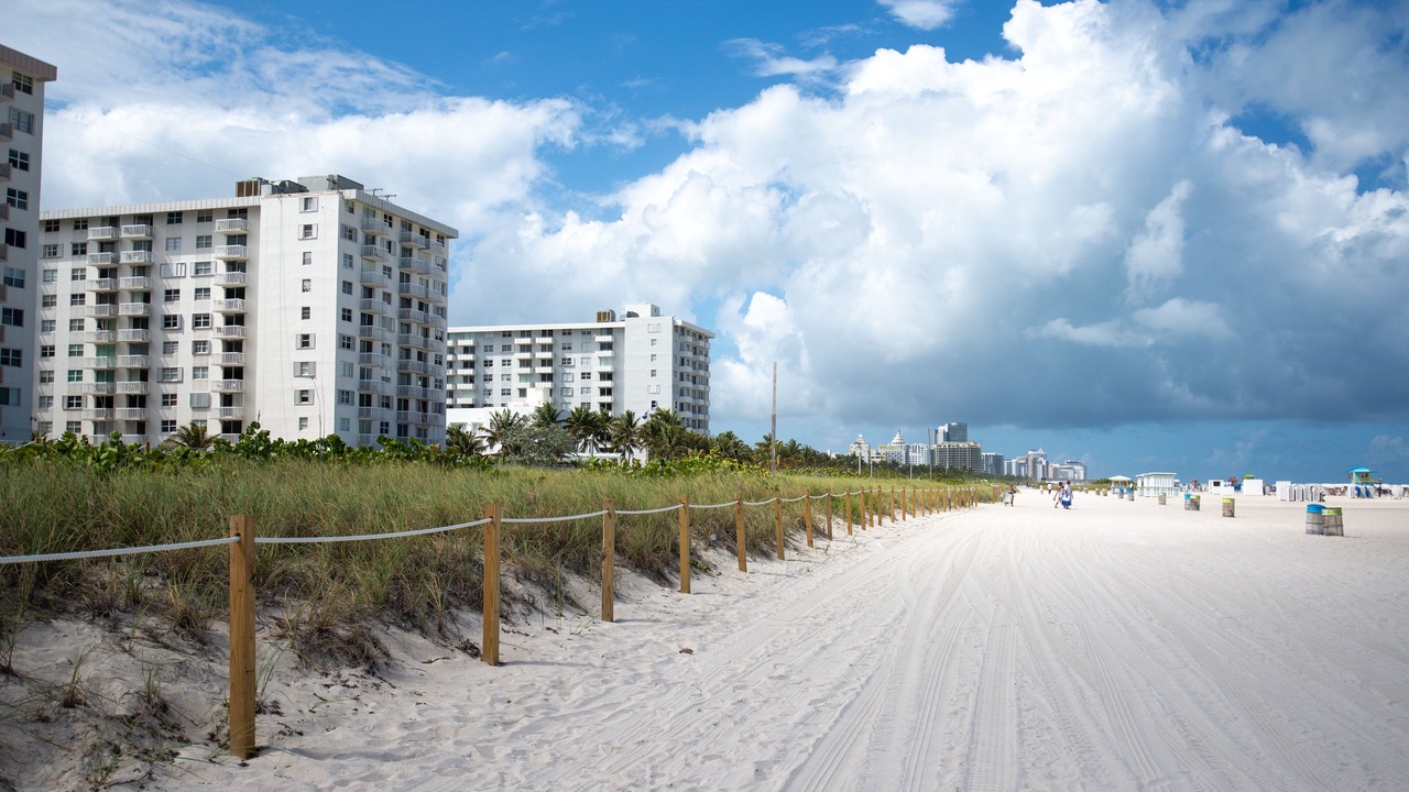 Photo of Others in South of Fifth