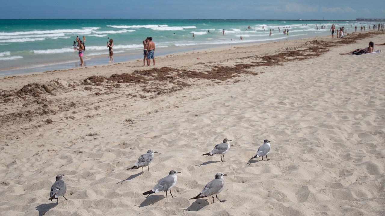 Photo of Others in South of Fifth