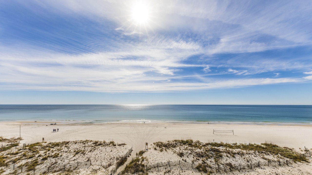 Photo of Others in Gulf Shores