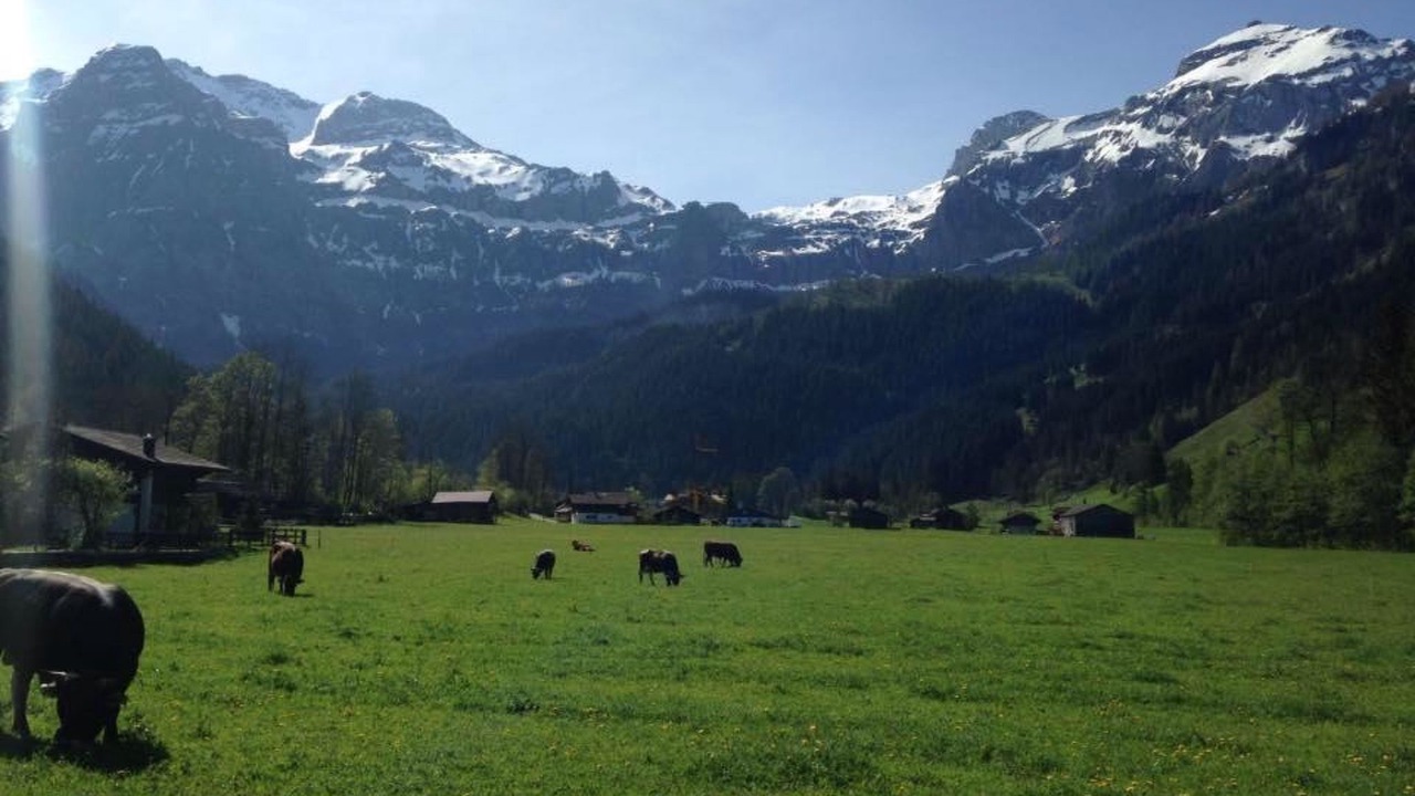 Photo of Others in Lenk