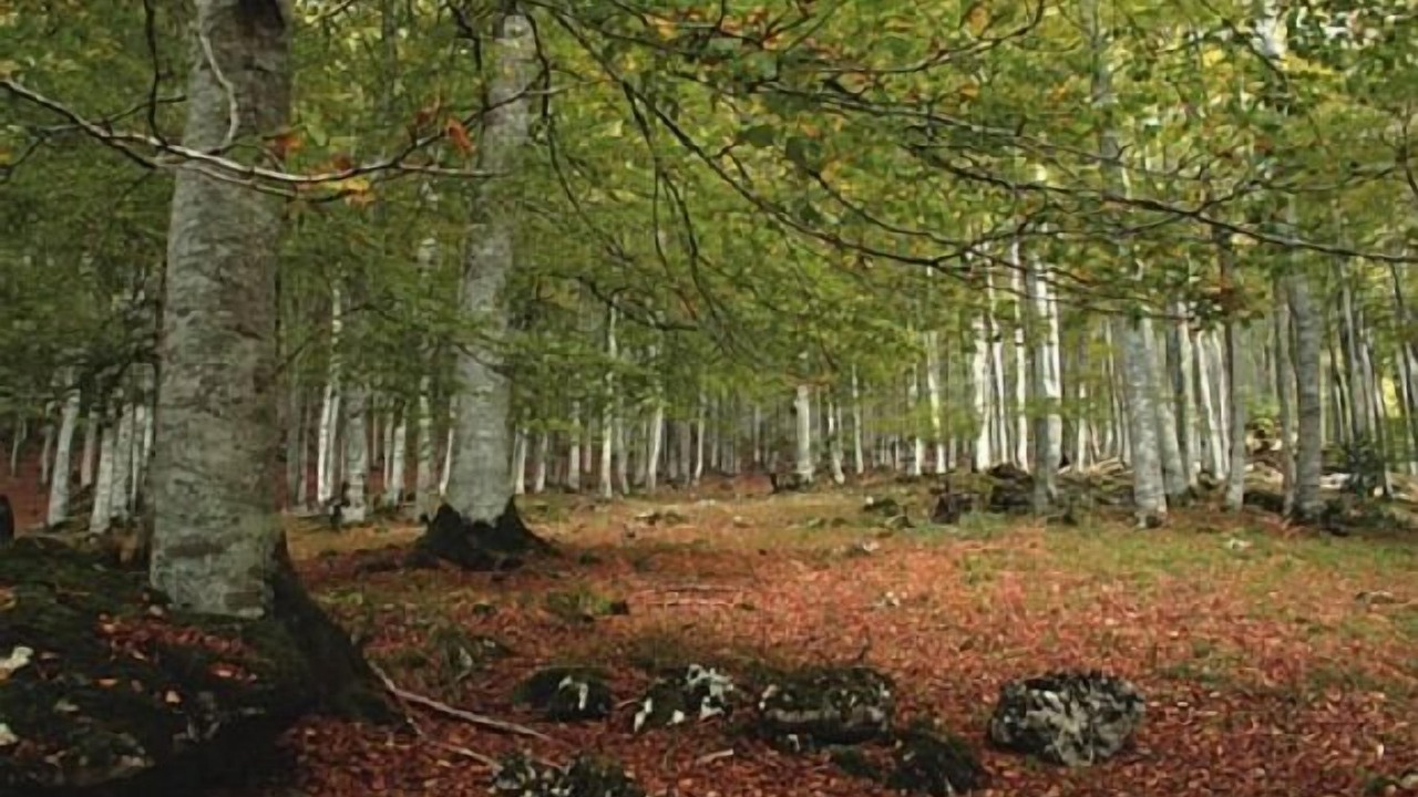 Photo of Outdoor in Torrano
