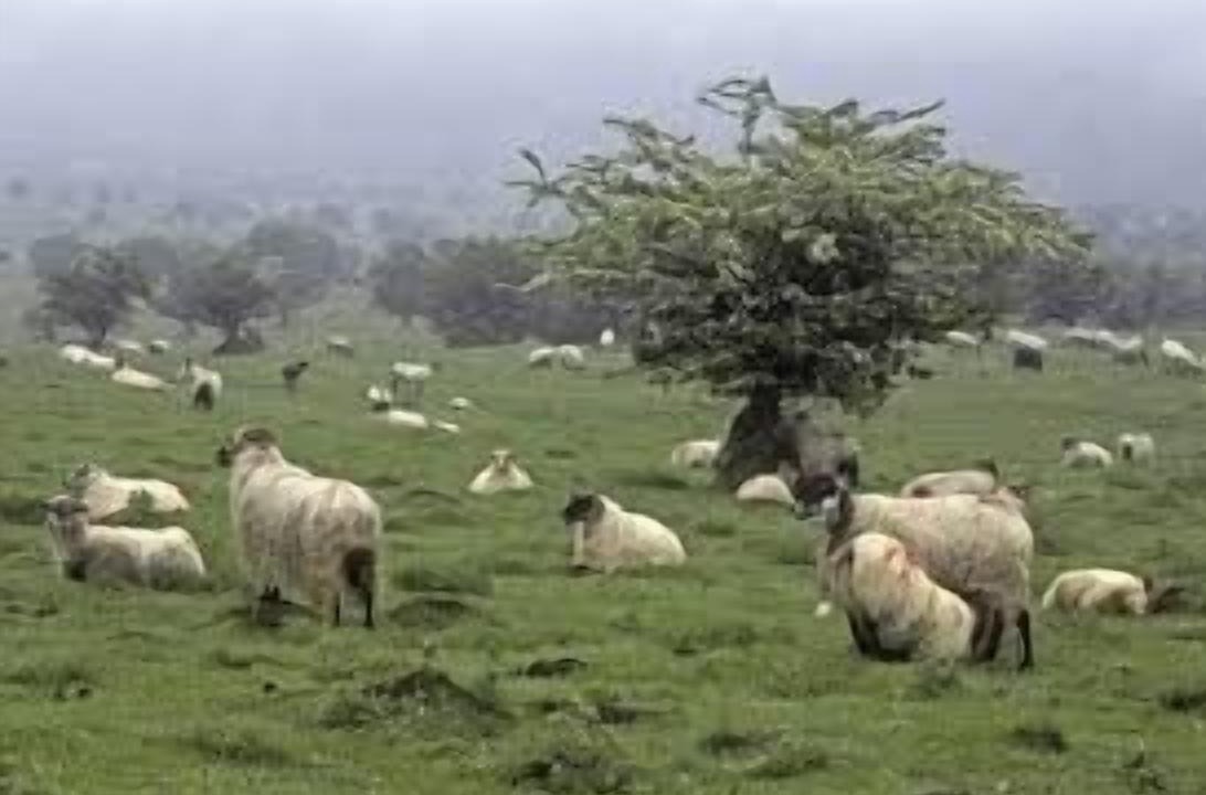 Photo of Outdoor in Torrano