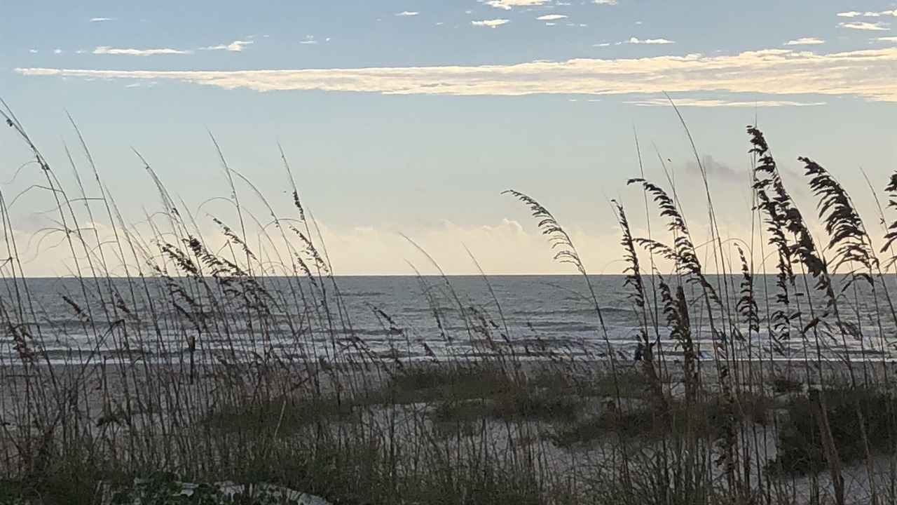 Photo of Others in Coquina Gables